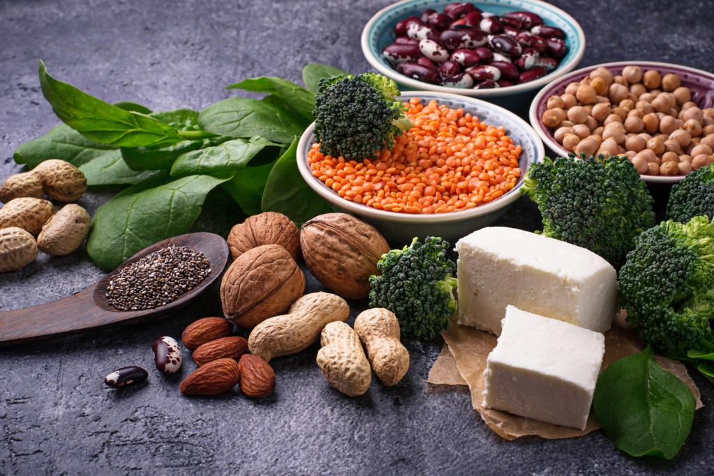 NonMeat Protein Sources Natural Foods General Store